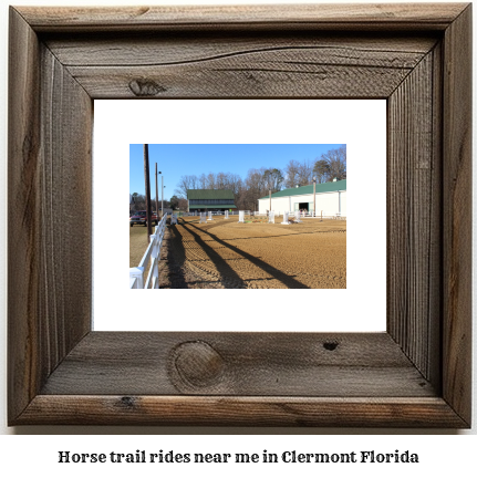 horse trail rides near me in Clermont, Florida